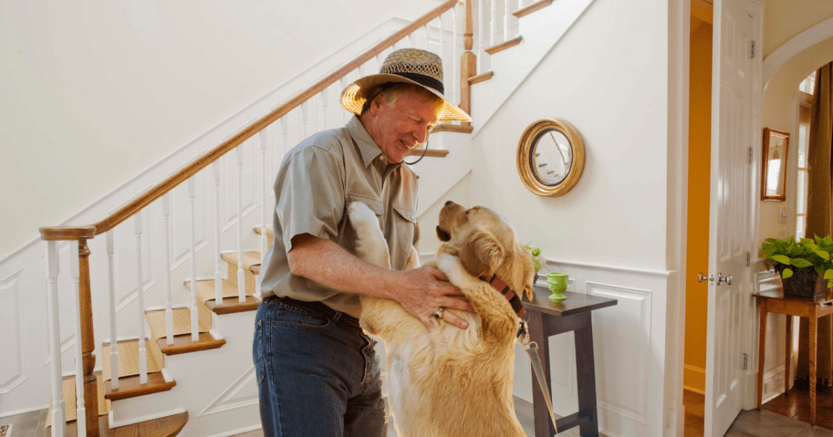 Comment empêcher un chien de sauter lorsqu'on rencontre quelqu'un
