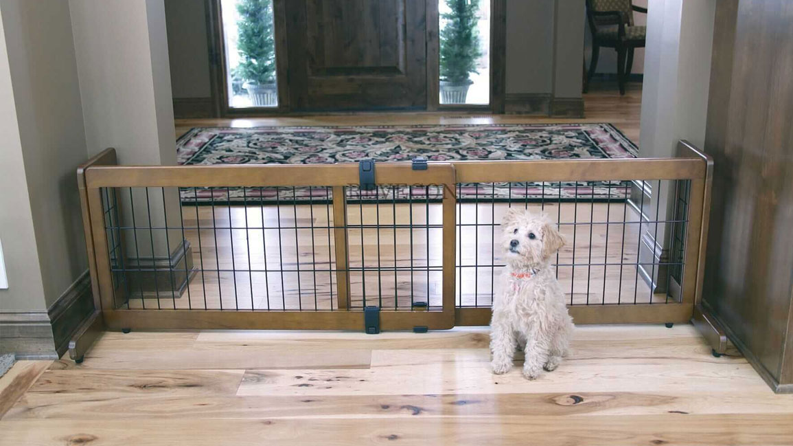 Comment empêcher un chien de monter sur le lit