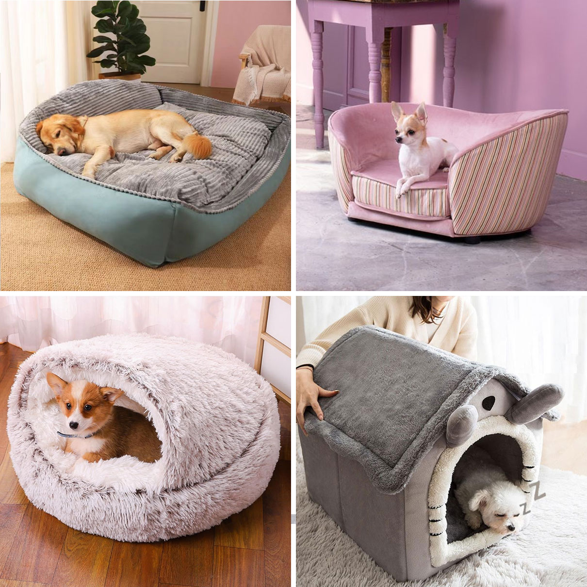 Types de lits pour chiens