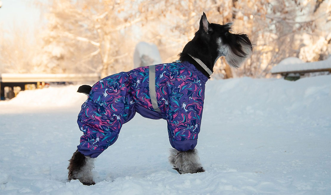 Vêtements pour chiens