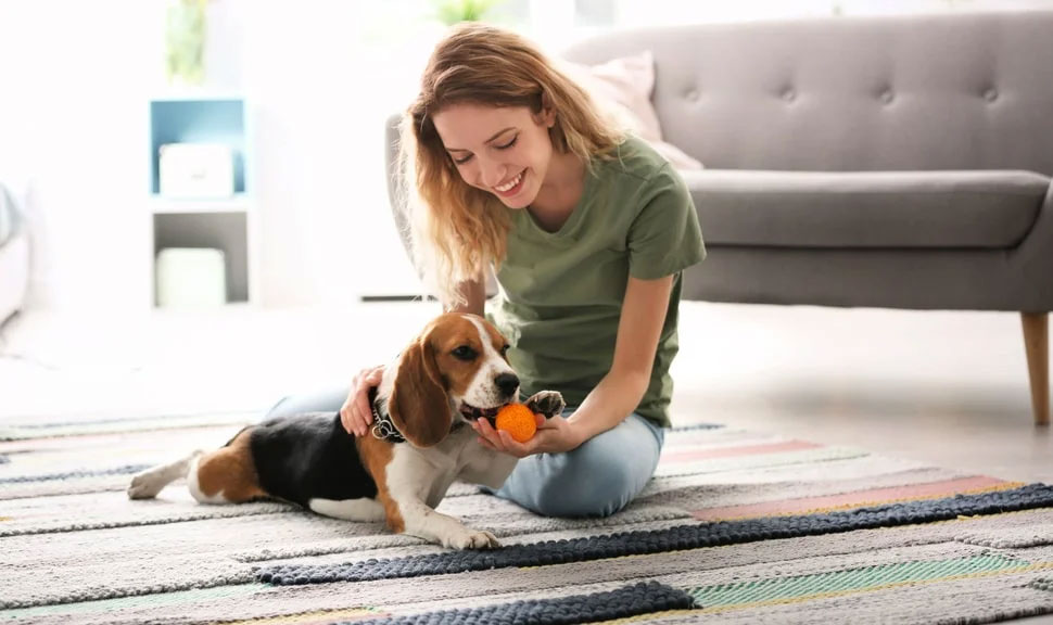 De quels jouets un chiot a-t-il besoin ?