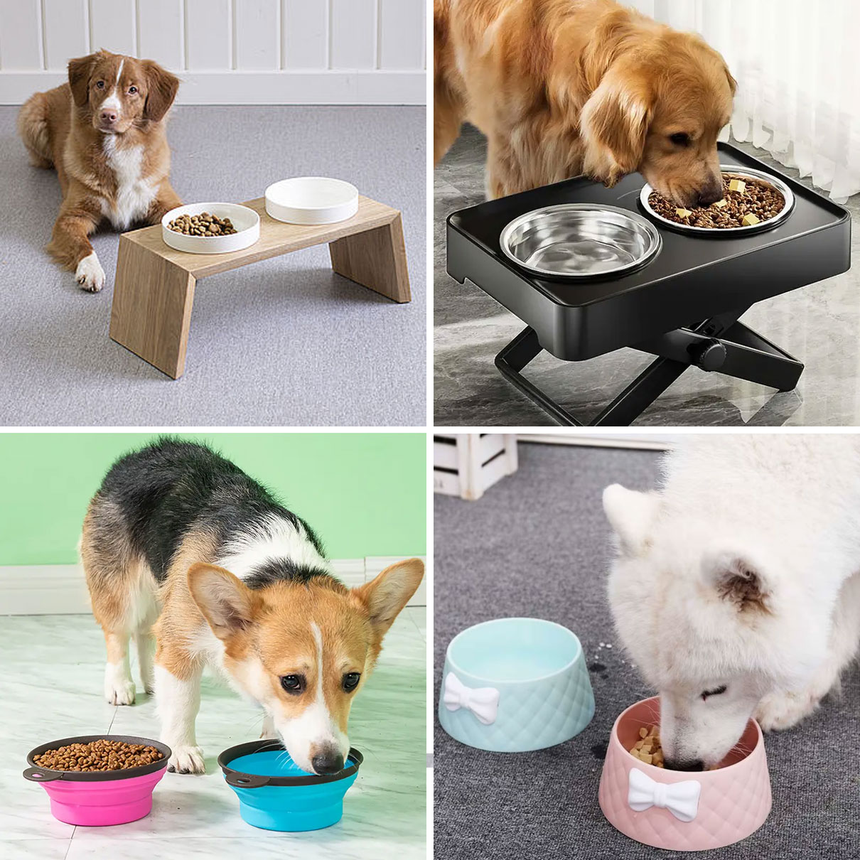 Gamelles pour chiens