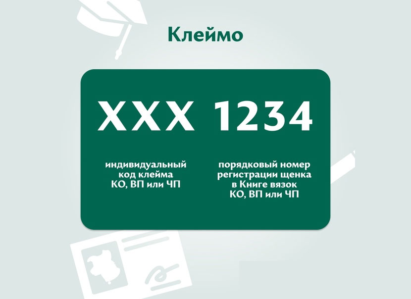 Comment déchiffrer la marque d'un chien