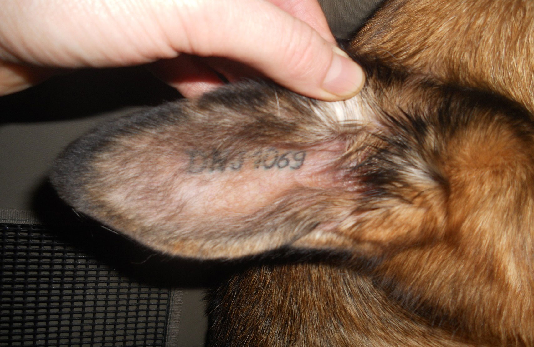 Vérification de l'authenticité d'un timbre par son numéro