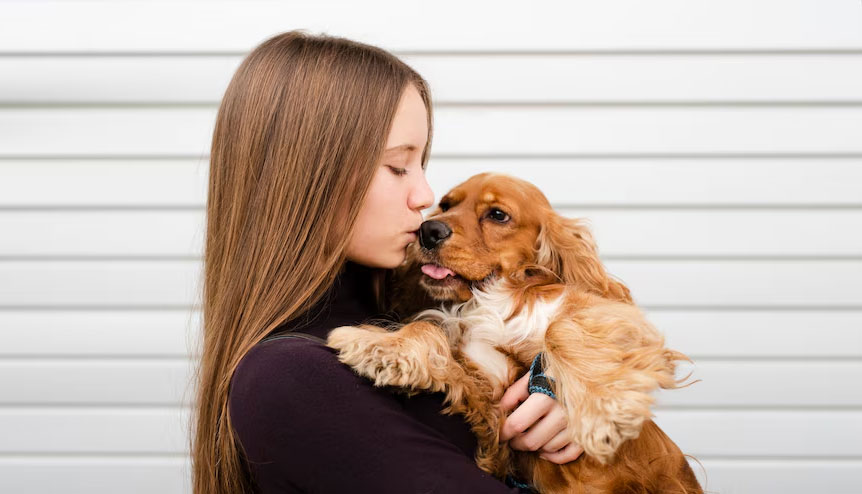 Recherche de chien par marque