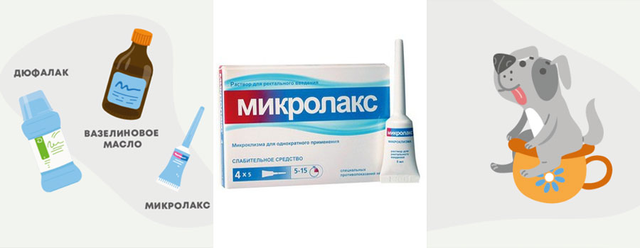 Microneemas pour chiens