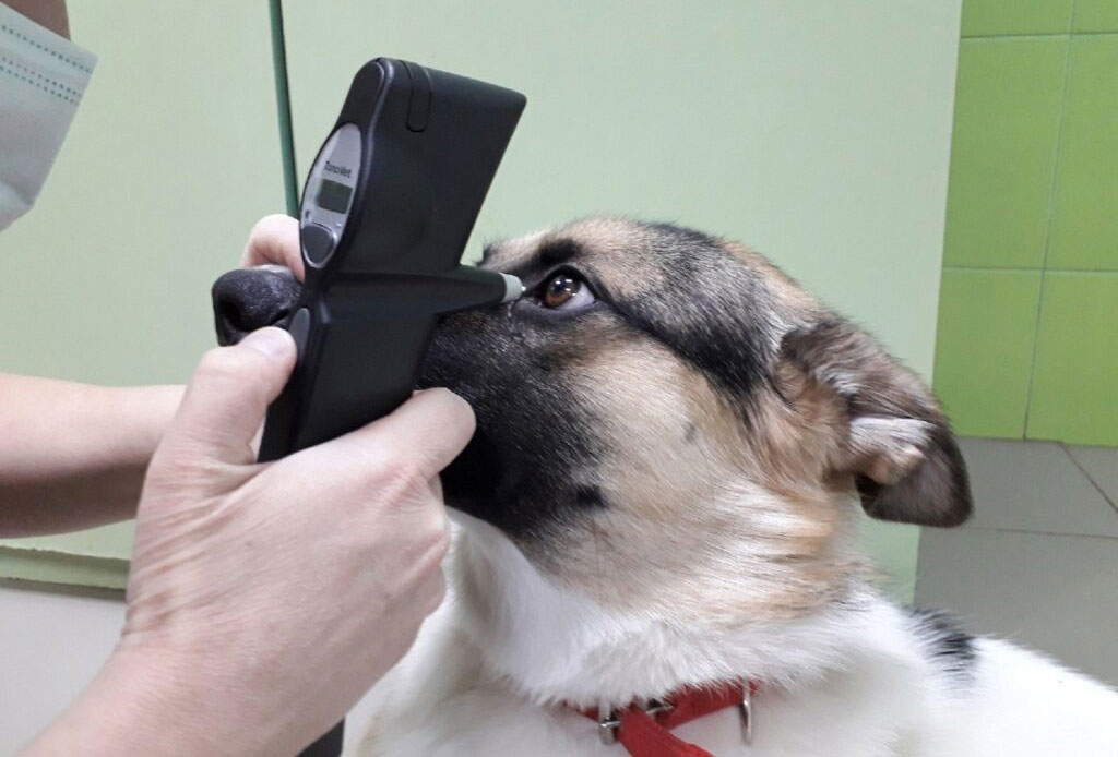 Diagnostic du glaucome